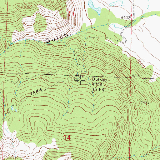 Topographic Map of Buckley Mine, CO