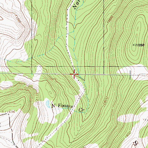 Topographic Map of Taylor Mining Syndicate Mine, CO