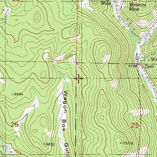 Topographic Map of New York Mine, CO