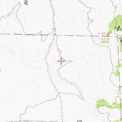 Topographic Map of Ricky Placers Mine, CO