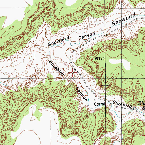 Topographic Map of Bluebird Canyon, AZ