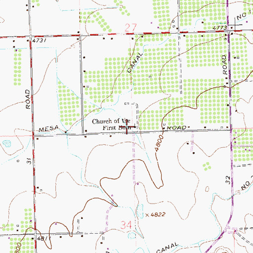 Topographic Map of Church of the First Born, CO