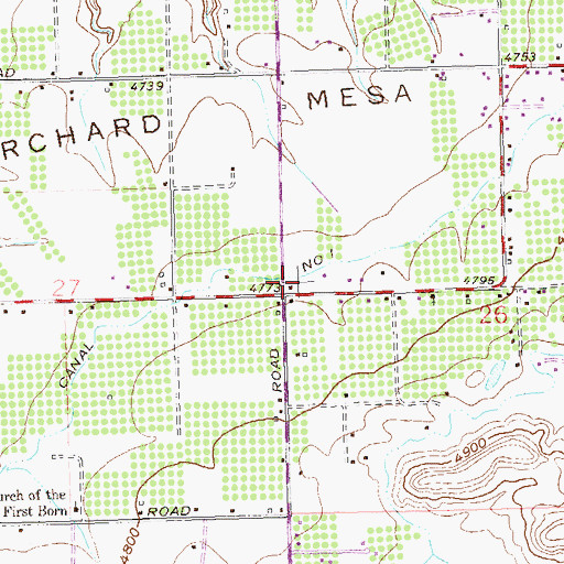 Topographic Map of Central Orchard Mesa, CO