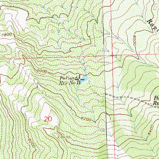 Topographic Map of Palisade Reservoir Number 1, CO