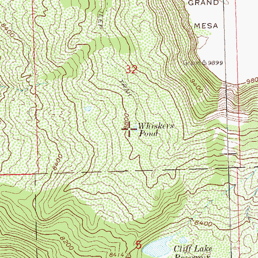 Topographic Map of Whiskers Pond, CO