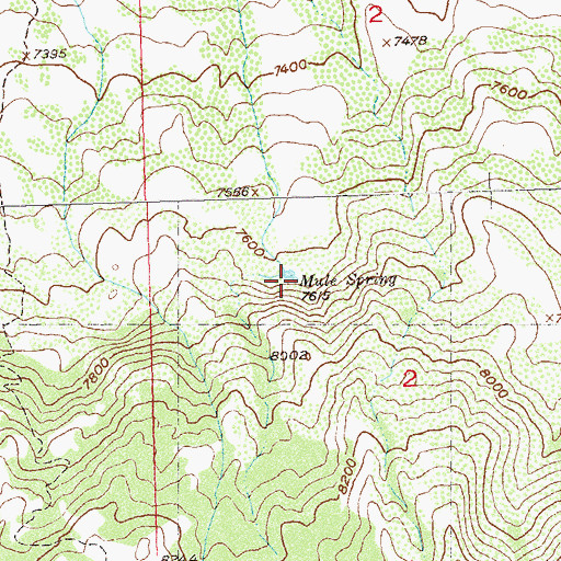 Topographic Map of Mule Spring, CO