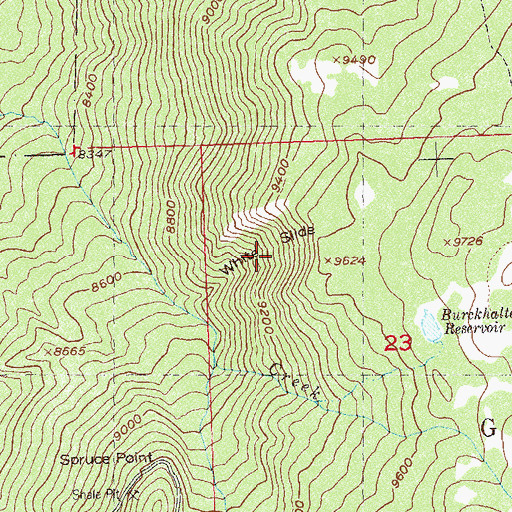 Topographic Map of White Slide, CO