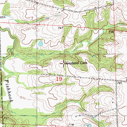 Topographic Map of Seybold Cemetery, IL