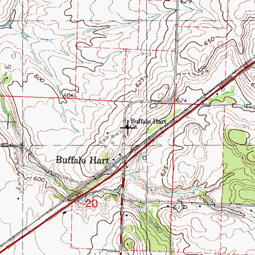 Topographic Map of Buffalo Hart Church, IL