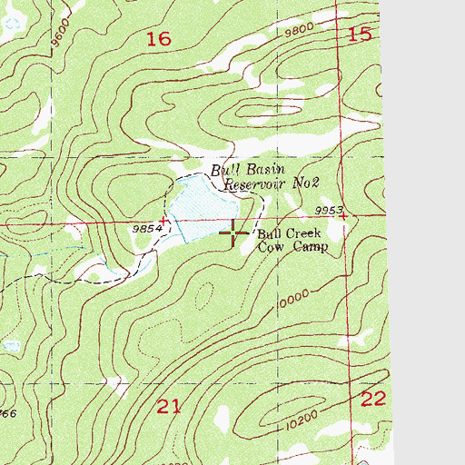 Topographic Map of Bull Creek Cow Camp, CO