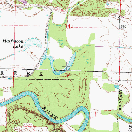 Topographic Map of Wiggins Slough, IL