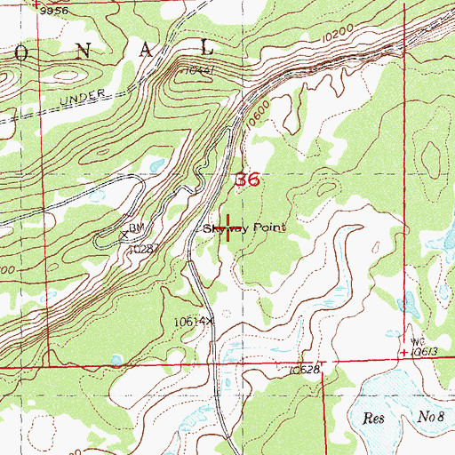 Topographic Map of Skyway Point, CO