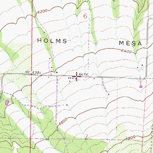 Topographic Map of Holms Mesa, CO