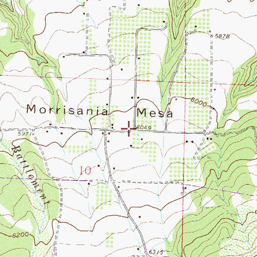 Topographic Map of Morrisania Mesa, CO
