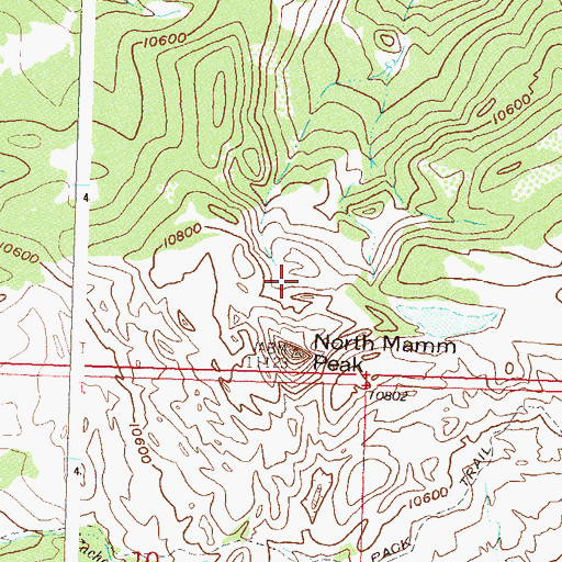 Topographic Map of North Mamm Peak, CO