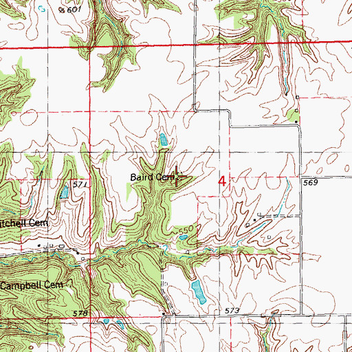 Topographic Map of Baird Cemetery, IL