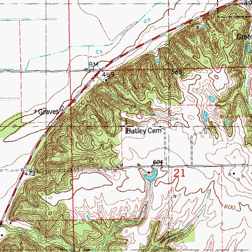 Topographic Map of Batley Cemetery, IL