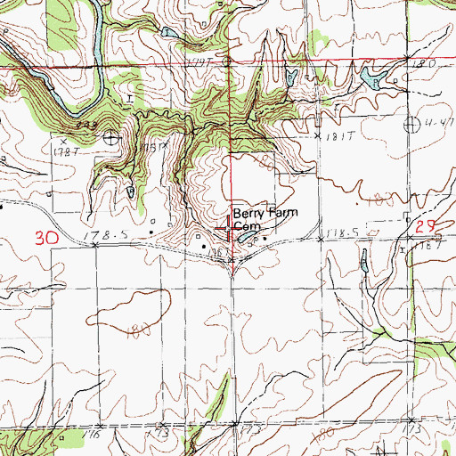Topographic Map of Berry Farm Cemetery, IL