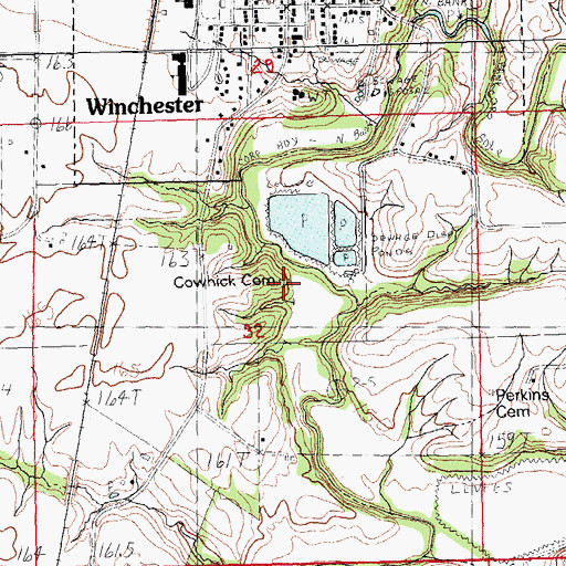 Topographic Map of Cowhick Cemetery, IL