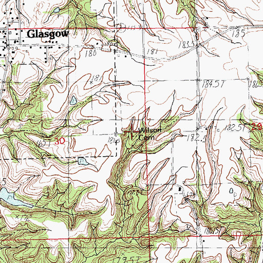 Topographic Map of Wilson Cemetery, IL