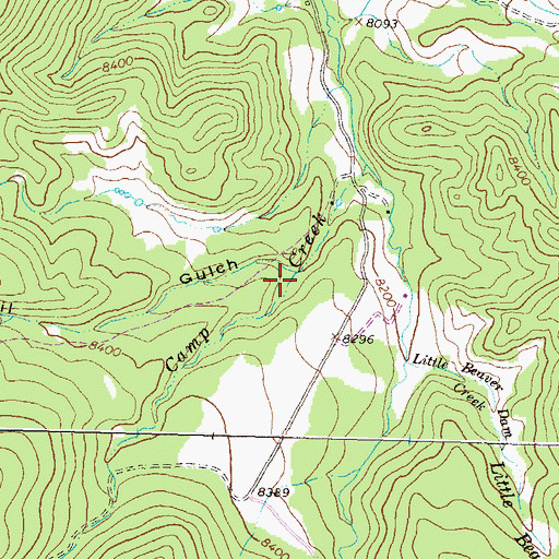 Topographic Map of Trail Gulch, CO