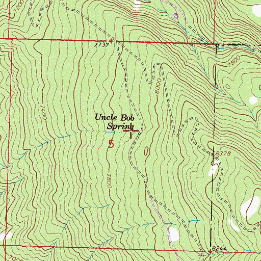 Topographic Map of Uncle Bob Spring, CO