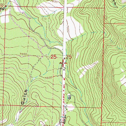 Topographic Map of Bear Gulch, CO
