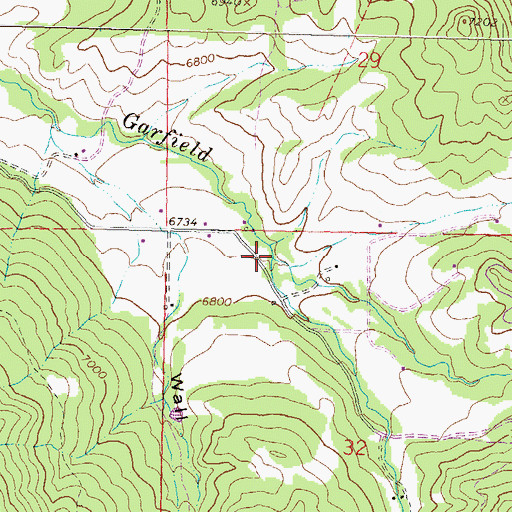 Topographic Map of Belodi Creek, CO