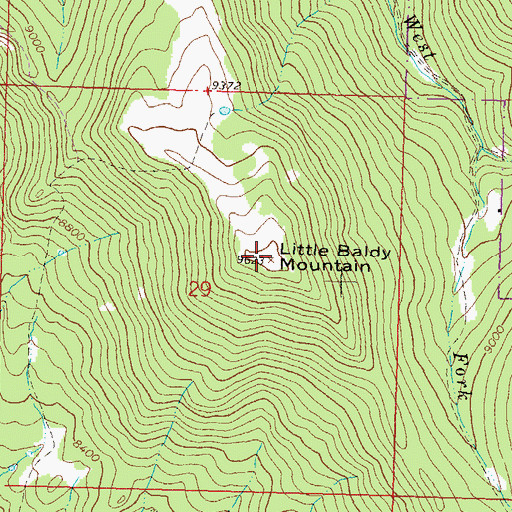 Topographic Map of Little Baldy Mountain, CO