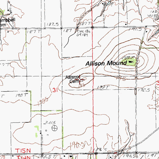 Topographic Map of Allison Cemetery, IL