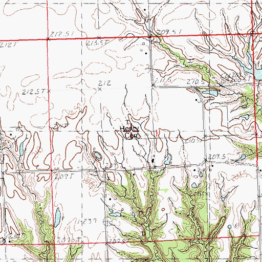 Topographic Map of Henry Cemetery, IL