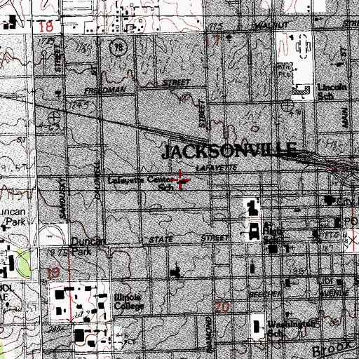 Topographic Map of Ray Graham School, IL