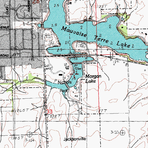 Topographic Map of Morgan Lake, IL