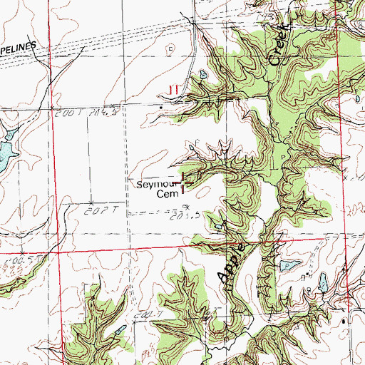 Topographic Map of Seymour Bird Cemetery, IL