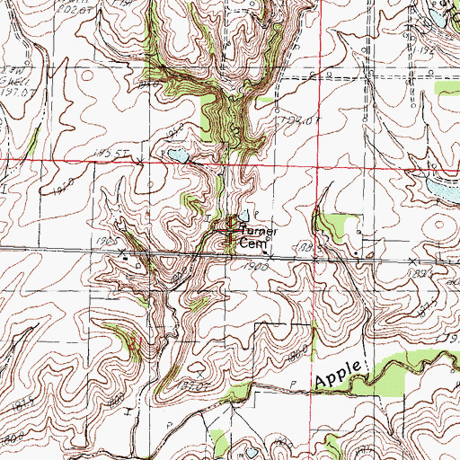 Topographic Map of Turner Cemetery, IL