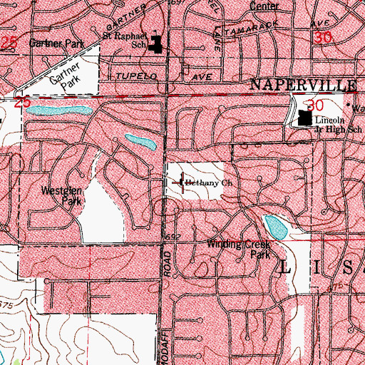 Topographic Map of Bethany Church, IL
