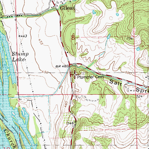 Topographic Map of Plummer Cemetery, IL