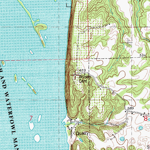 Topographic Map of Wilson Cemetery, IL