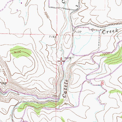 Topographic Map of Coulter Creek, CO