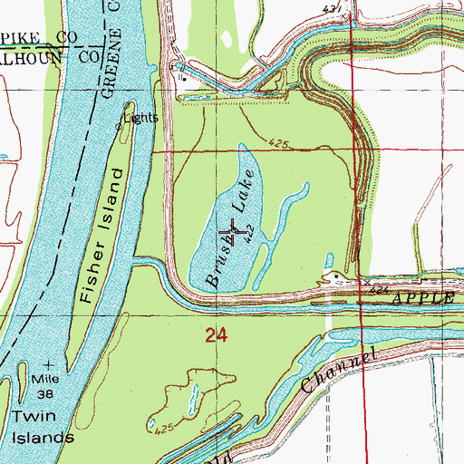 Topographic Map of Brushy Lake, IL