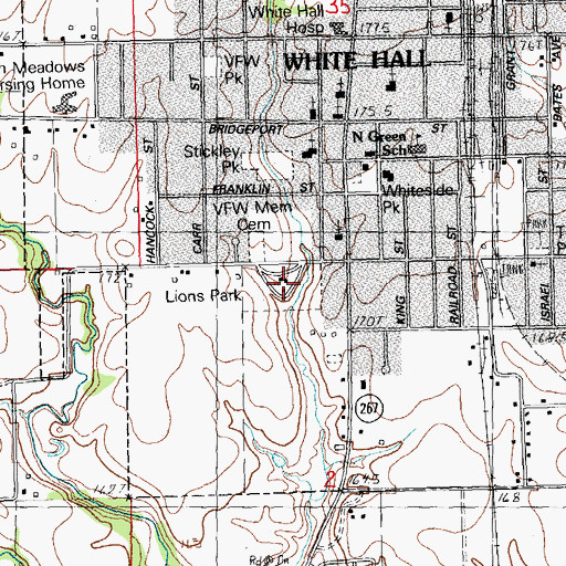 Topographic Map of Lions Park, IL