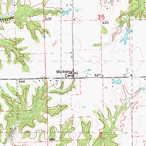 Topographic Map of Mulberry Cemetery, IL