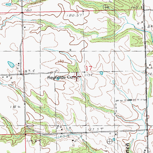 Topographic Map of Reynolds Cemetery, IL