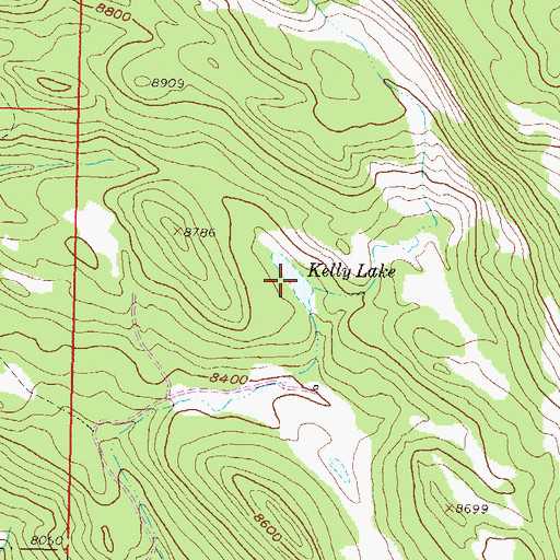 Topographic Map of Kelly Lake, CO