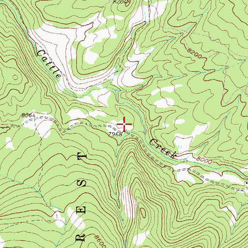 Topographic Map of Cattle Creek Guard Station, CO