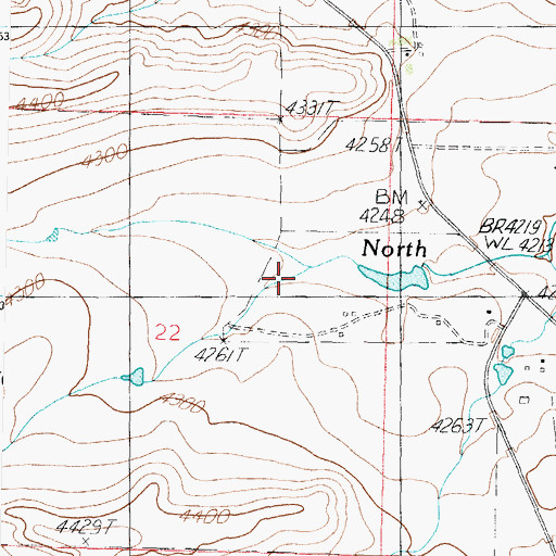 Topographic Map of Woods Coulee, MT