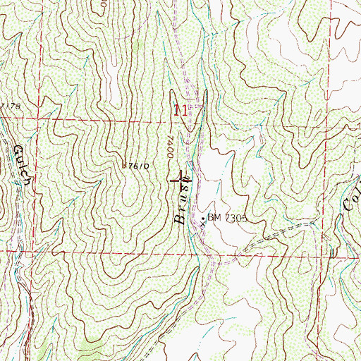Topographic Map of Bloss Gulch, CO