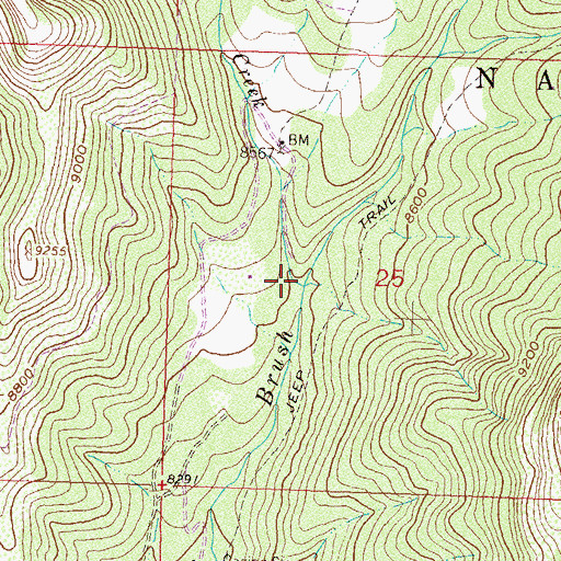 Topographic Map of West Brush Creek, CO