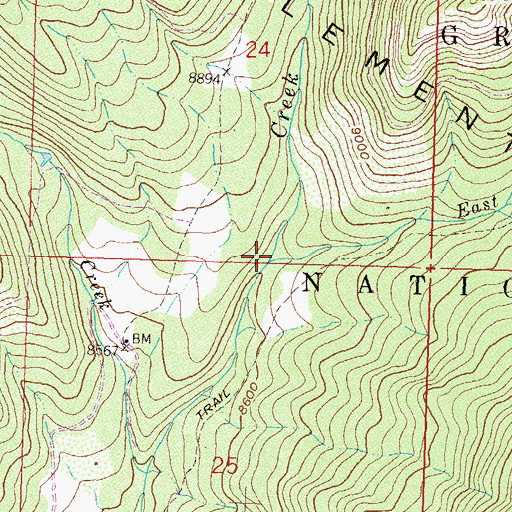 Topographic Map of East Fork Brush Creek, CO