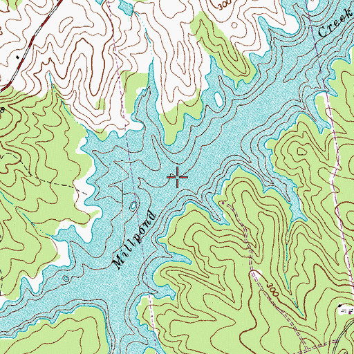 Topographic Map of Richards Gut, VA